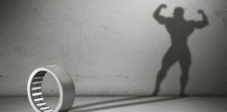 The hidden side of needle roller bearings