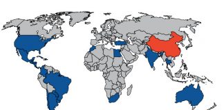 ZEN starts direct shipping from China to the rest of the World