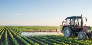 Bosch and BASF expand their cooperation for digital agriculture