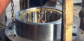 Rolling bearings for coal pulverizer